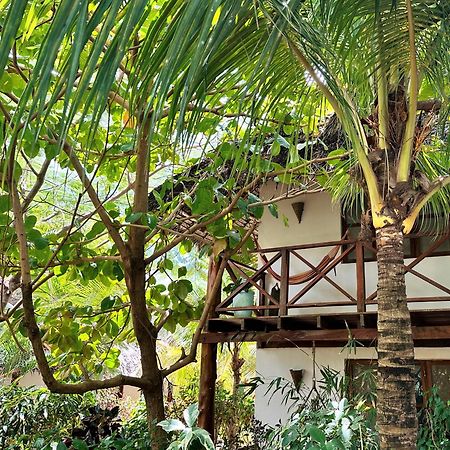 Maisha Nungwi - Boutique Hotel エクステリア 写真