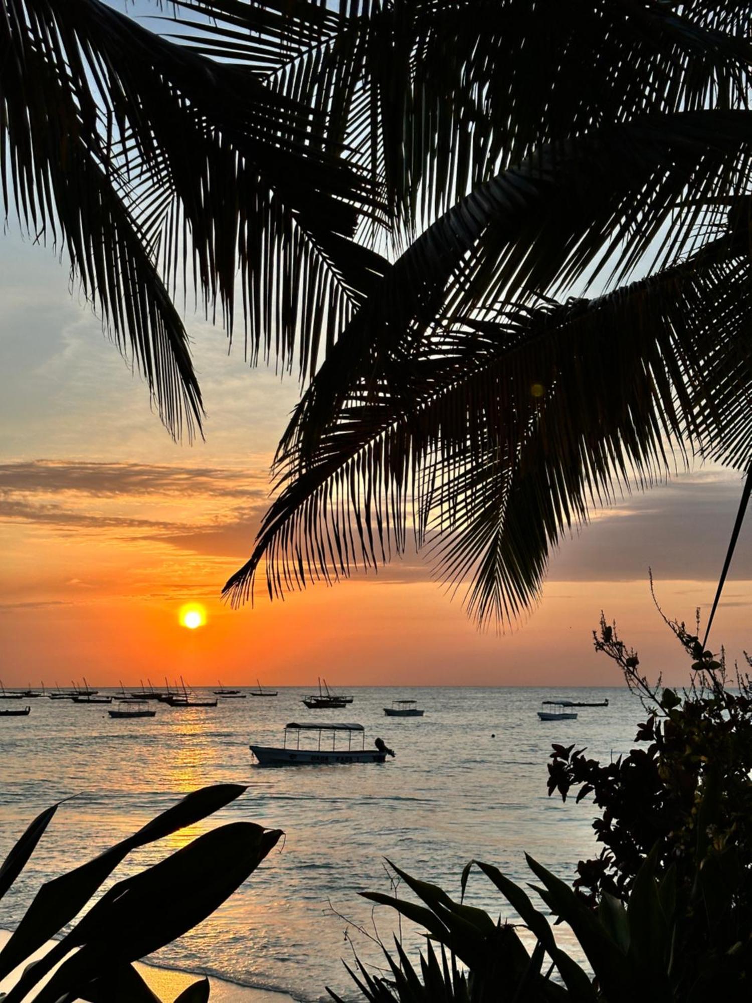 Maisha Nungwi - Boutique Hotel エクステリア 写真