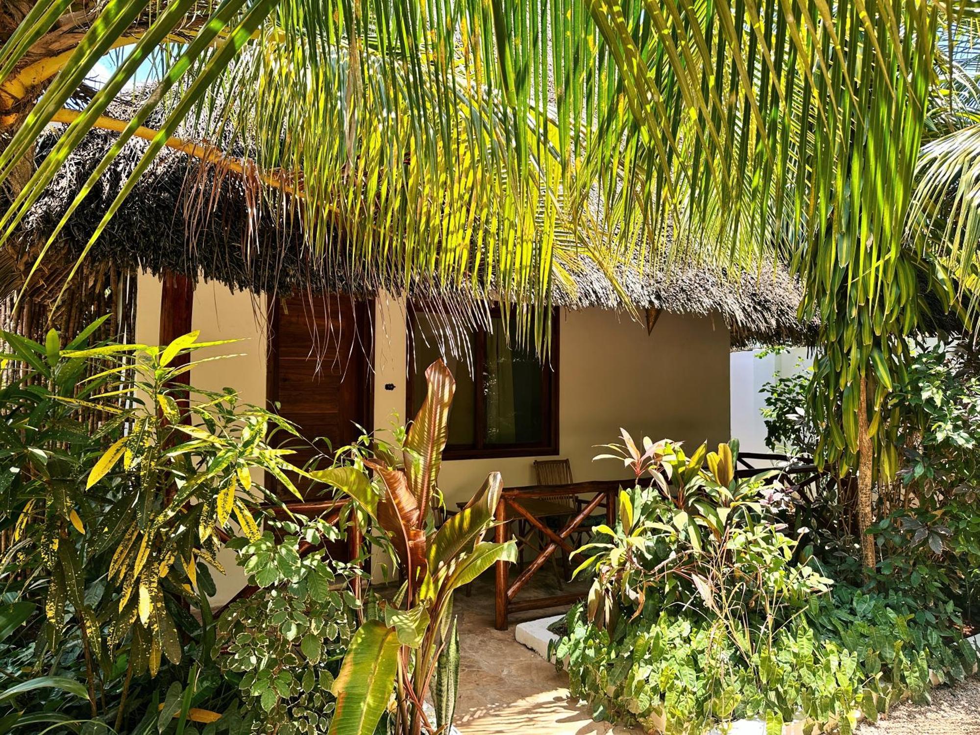 Maisha Nungwi - Boutique Hotel エクステリア 写真
